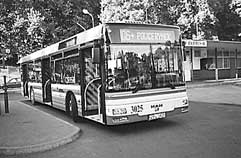 Foto - Komunikacja w Szczecinie - Nowy model autobusu MAN NL223 z elektronicznym wywietlaczem
