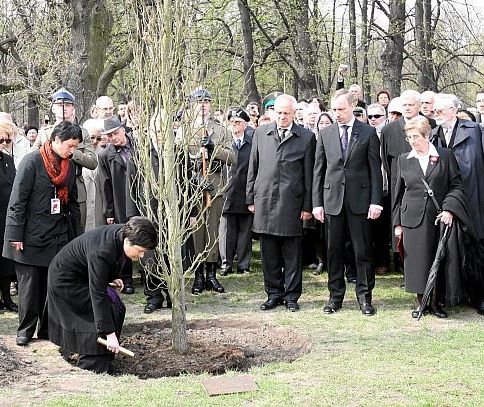 Drzewo sadzia m.in. Prezydent Warszawy Hanna Gronkiewicz-Waltz