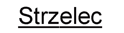 strzelec