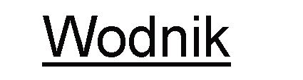 wodnik